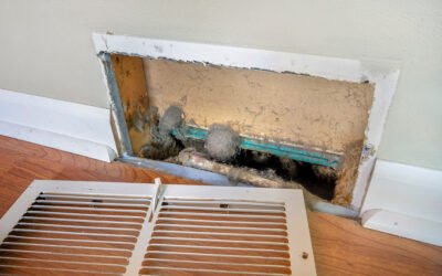 Spring Cleaning for Your Air Ducts: Breathe New Life Into Your Southeastern South Carolina & Northeastern Georgia Home